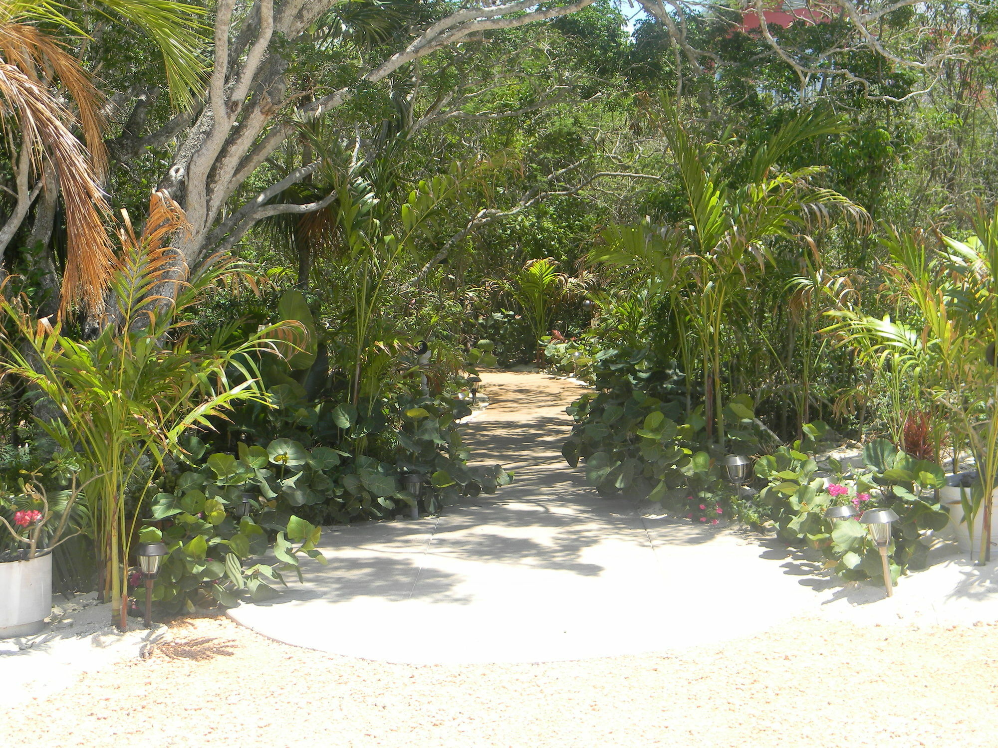 Harbor Breeze Villas Clarence Town Extérieur photo