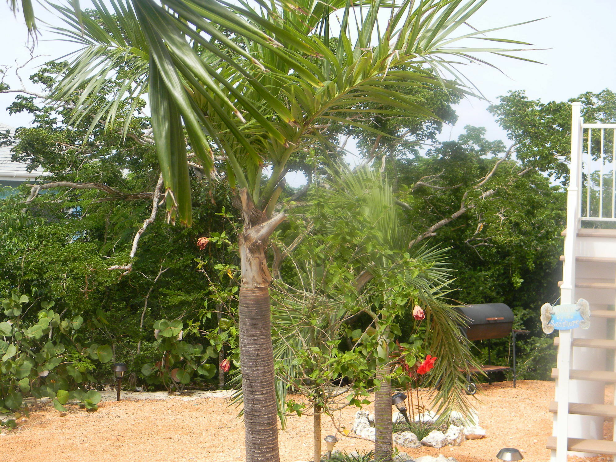 Harbor Breeze Villas Clarence Town Extérieur photo