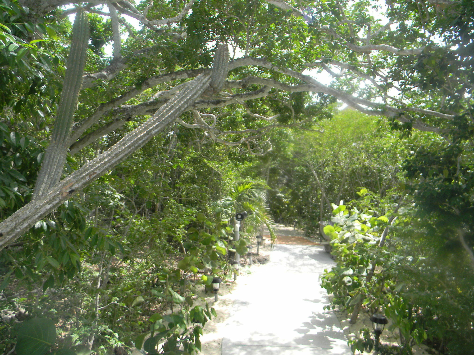 Harbor Breeze Villas Clarence Town Extérieur photo