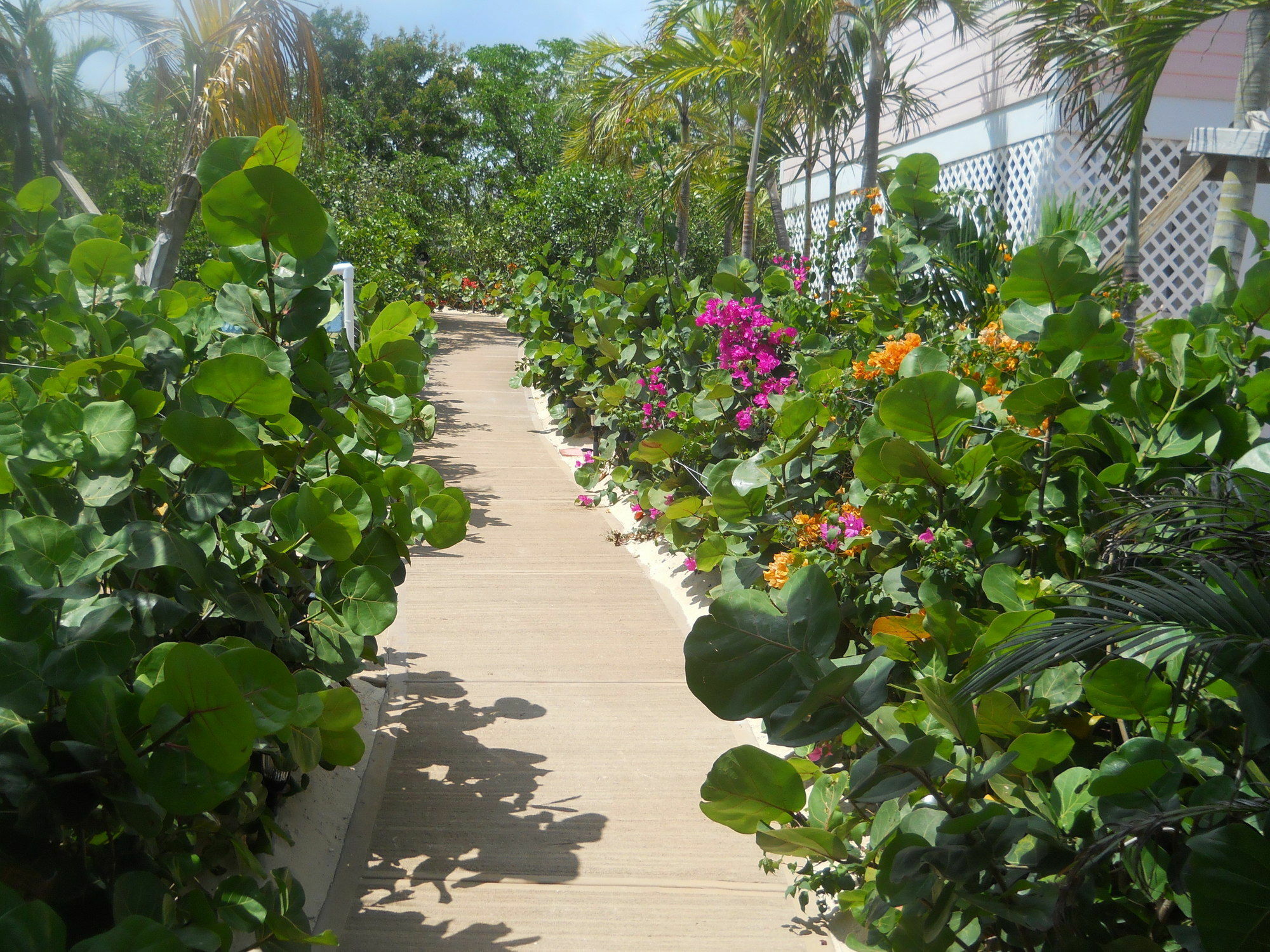 Harbor Breeze Villas Clarence Town Extérieur photo