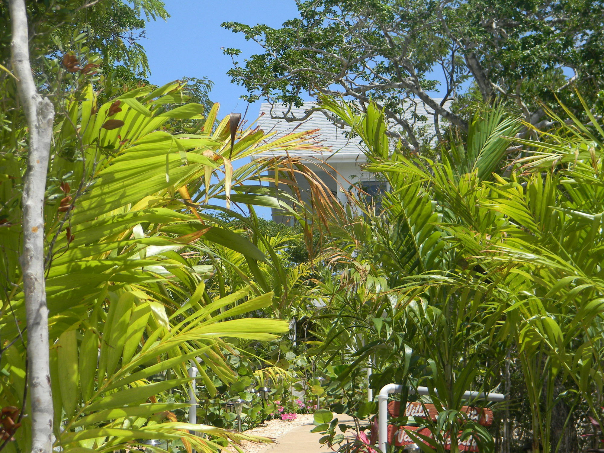 Harbor Breeze Villas Clarence Town Extérieur photo
